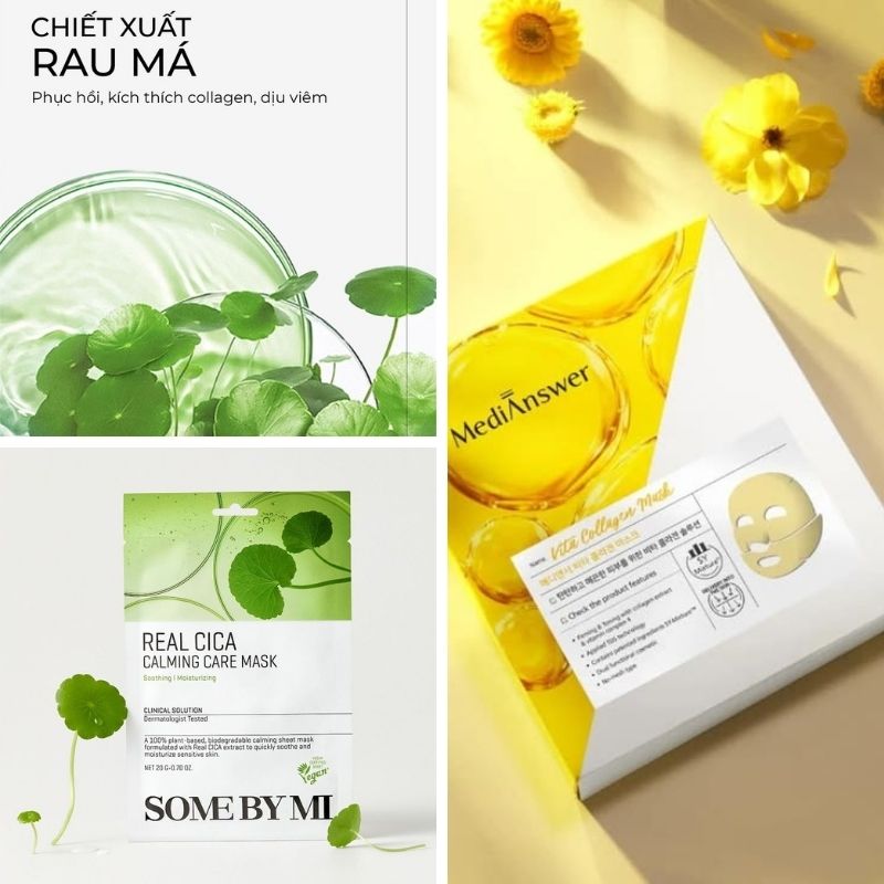 gia công mặt nạ tế bào gốc rau má