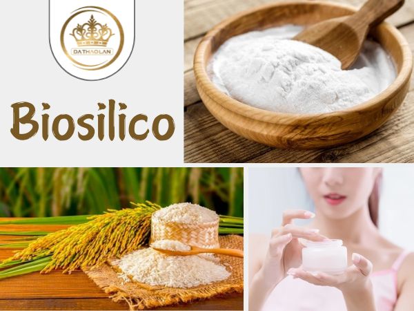 Biosilico, hay còn gọi là nano silica, là một loại silica vô định hình có nguồn gốc sinh học 