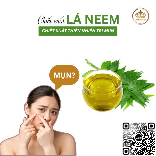 Chiết xuất lá neem - Nguyên liệu mỹ phẩm điều trị mụn