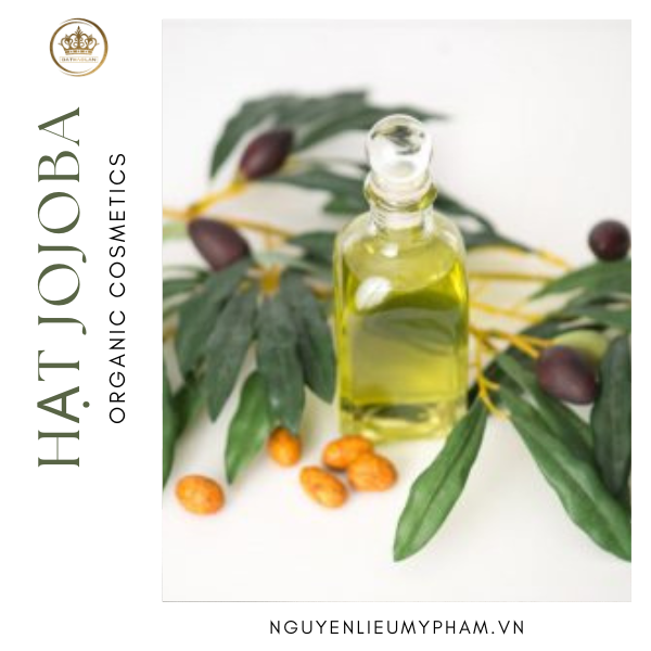 Nguyên Liệu Hạt Jojoba Chính Hãng