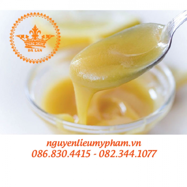 Cung Cấp Chiết Xuất Sữa Ong Chúa – Bán Chiết Xuất Sữa Ong Chúa Giá Sỉ