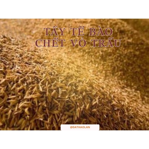 Tẩy Tế Bào Chết Vỏ Trấu