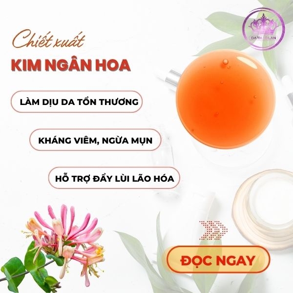 Cung cấp chiết xuất kim ngân hoa (Honeysuckle Extract): Nguyên liệu mỹ phẩm