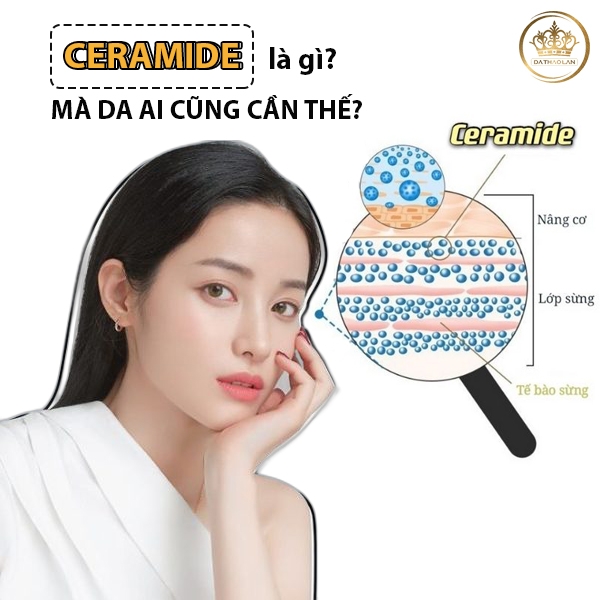 Cung cấp hoạt chất Ceramide: Cung cấp nguyên liệu mỹ phẩm