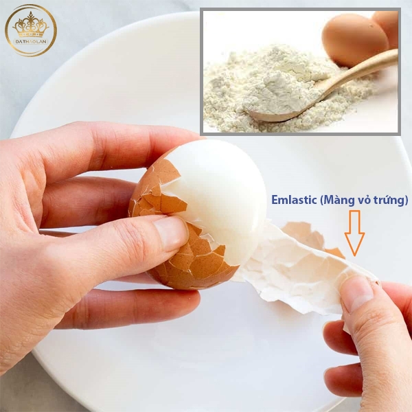 Cung cấp Emlastic (màng vỏ trứng): Cung cấp nguyên liệu mỹ phẩm