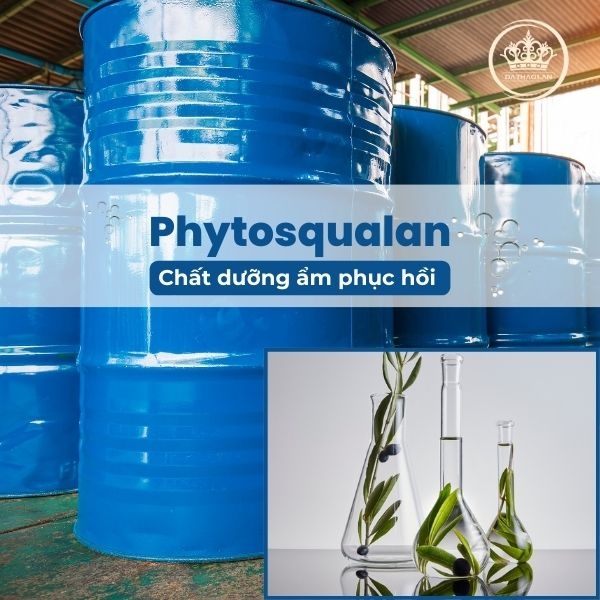 Phytosqualan: Chất dưỡng ẩm phục hồi không gây nhờn rít